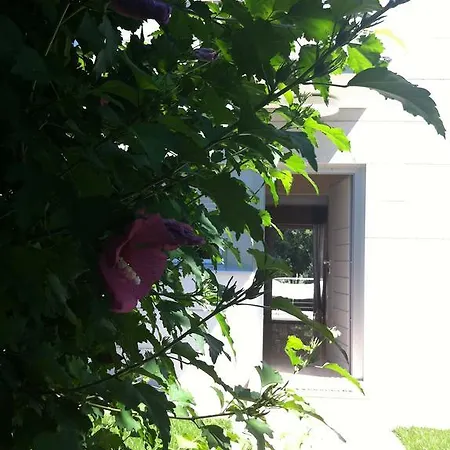 Terra Rossa Borik * Rovinj